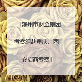滨州市财金集团考察组赴重庆、西安招商考察