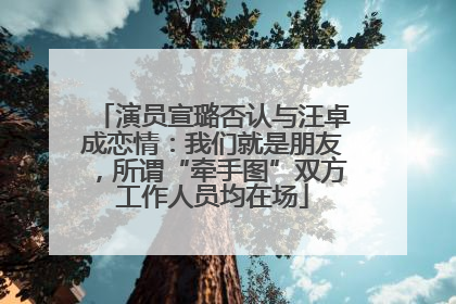 演员宣璐否认与汪卓成恋情：我们就是朋友，所谓“牵手图”双方工作人员均在场