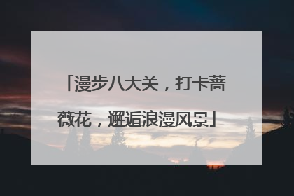 漫步八大关，打卡蔷薇花，邂逅浪漫风景