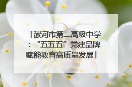 漯河市第二高级中学：“五五五”党建品牌赋能教育高质量发展
