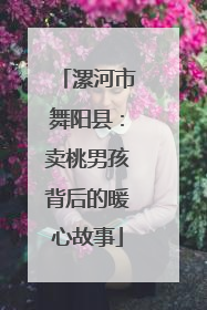 漯河市舞阳县：卖桃男孩背后的暖心故事