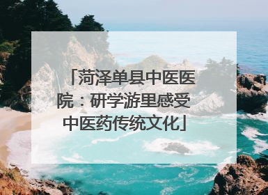 菏泽单县中医医院：研学游里感受中医药传统文化