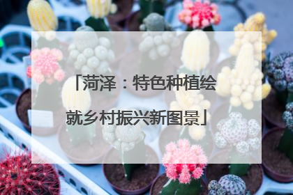 菏泽：特色种植绘就乡村振兴新图景