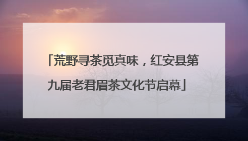 荒野寻茶觅真味，红安县第九届老君眉茶文化节启幕