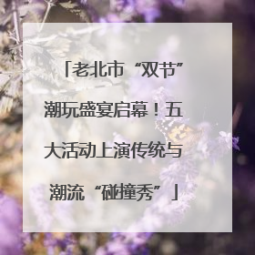 老北市“双节”潮玩盛宴启幕！五大活动上演传统与潮流“碰撞秀”