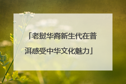 老挝华裔新生代在普洱感受中华文化魅力