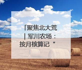 聚焦北大荒｜军川农场：按月核算记“明白账”精打细算“过紧日子”