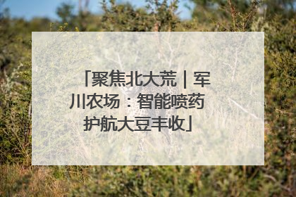 聚焦北大荒｜军川农场：智能喷药护航大豆丰收