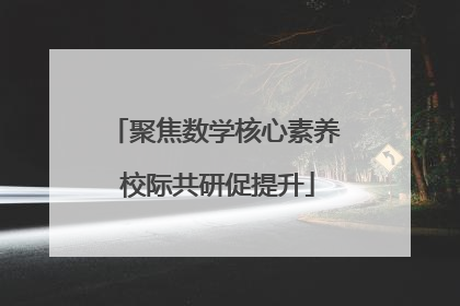 聚焦数学核心素养 校际共研促提升