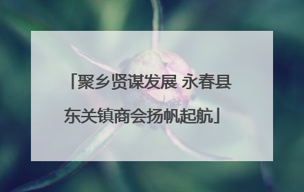 聚乡贤谋发展 永春县东关镇商会扬帆起航