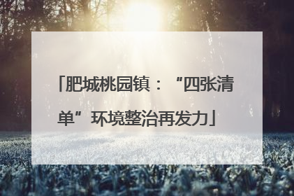 肥城桃园镇：“四张清单”环境整治再发力