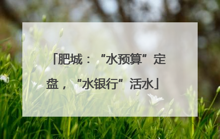 肥城：“水预算”定盘，“水银行”活水
