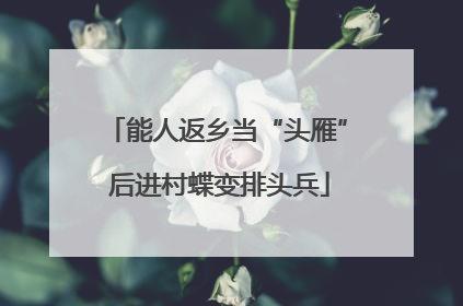 能人返乡当“头雁” 后进村蝶变排头兵