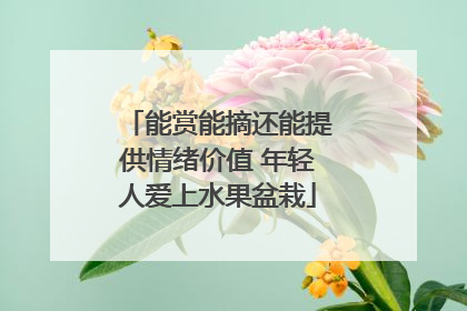 能赏能摘还能提供情绪价值 年轻人爱上水果盆栽