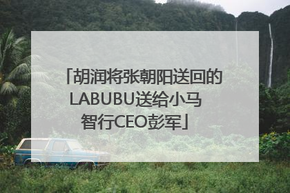 胡润将张朝阳送回的LABUBU送给小马智行CEO彭军