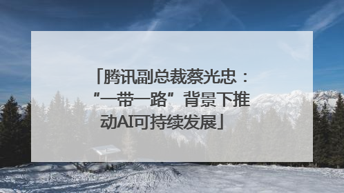 腾讯副总裁蔡光忠：“一带一路”背景下推动AI可持续发展