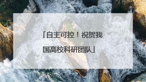 自主可控！祝贺我国高校科研团队