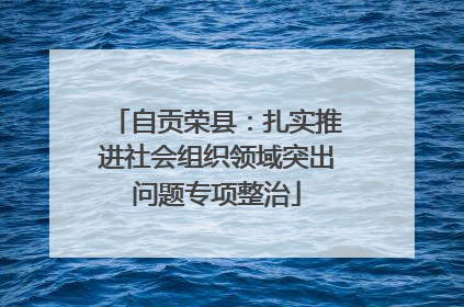 自贡荣县：扎实推进社会组织领域突出问题专项整治