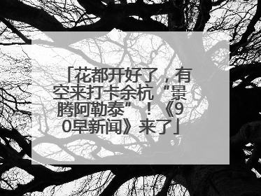 花都开好了，有空来打卡余杭“景腾阿勒泰”！《90早新闻》来了
