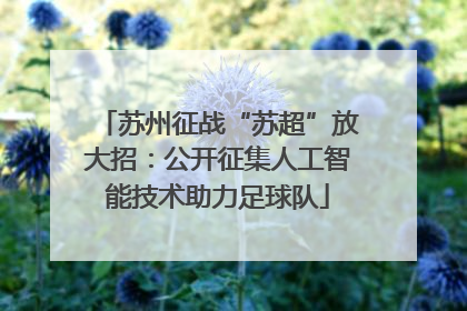 苏州征战“苏超”放大招：公开征集人工智能技术助力足球队