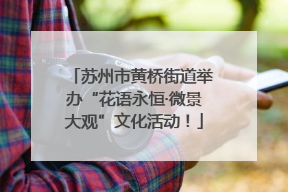 苏州市黄桥街道举办“花语永恒·微景大观”文化活动！
