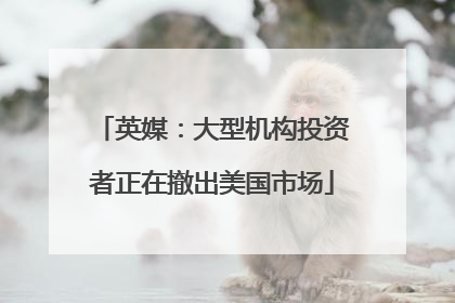 英媒：大型机构投资者正在撤出美国市场