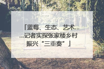 蓝莓、生态、艺术……记者实探张家楼乡村振兴“三重奏”