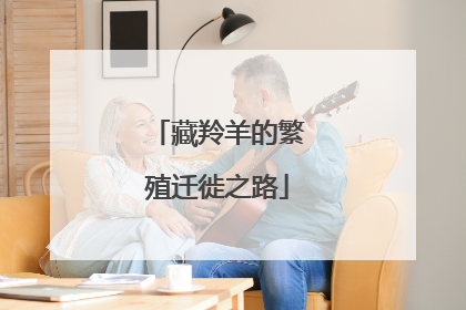 藏羚羊的繁殖迁徙之路