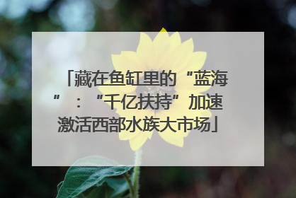 藏在鱼缸里的“蓝海”：“千亿扶持”加速激活西部水族大市场