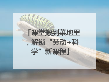 课堂搬到菜地里，解锁“劳动+科学”新课程