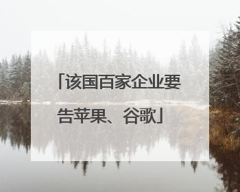 该国百家企业要告苹果、谷歌