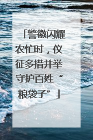 警徽闪耀农忙时，仪征多措并举守护百姓“粮袋子”