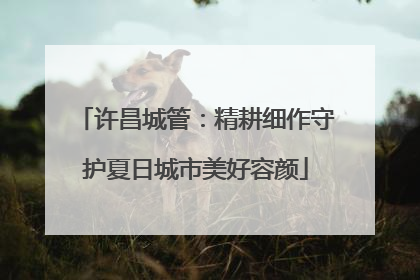 许昌城管：精耕细作守护夏日城市美好容颜