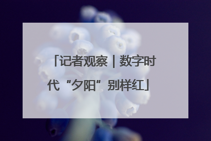 记者观察｜数字时代“夕阳”别样红