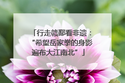 行走赣鄱看非遗：“希望岳家拳的身影遍布大江南北”