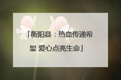 衡阳县：热血传递希望 爱心点亮生命