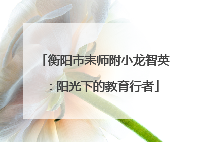 衡阳市耒师附小龙智英：阳光下的教育行者
