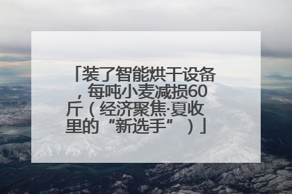 装了智能烘干设备，每吨小麦减损60斤（经济聚焦·夏收里的“新选手”）