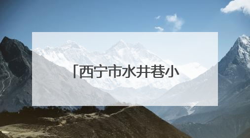西宁市水井巷小学：牢记党的教导 争做强国少年