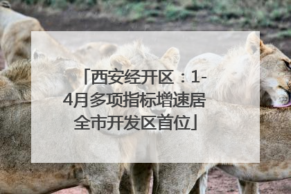 西安经开区：1-4月多项指标增速居全市开发区首位