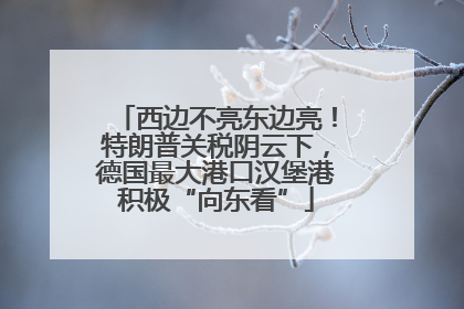 西边不亮东边亮！特朗普关税阴云下，德国最大港口汉堡港积极“向东看”