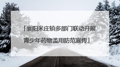 襄阳米庄镇多部门联动开展青少年药物滥用防范宣传