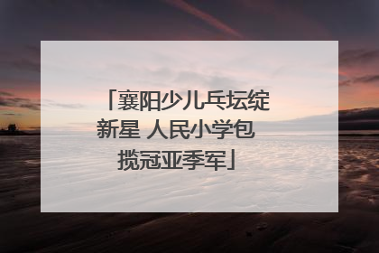 襄阳少儿乓坛绽新星 人民小学包揽冠亚季军