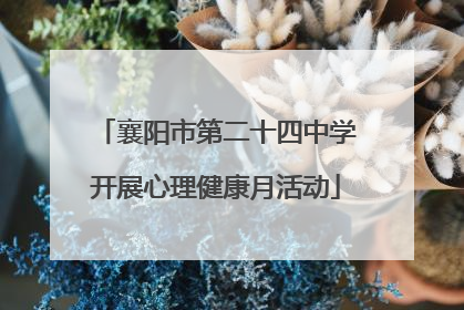 襄阳市第二十四中学开展心理健康月活动