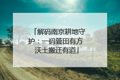 解码南京耕地守护：一码管田有方 沃土搬迁有道