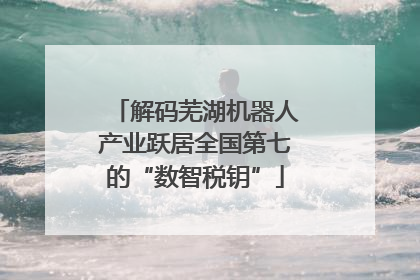 解码芜湖机器人产业跃居全国第七的“数智税钥”