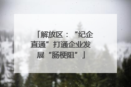 解放区：“纪企直通”打通企业发展“肠梗阻”