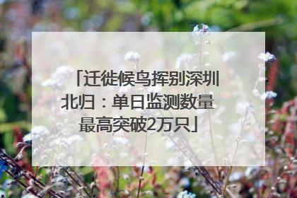 迁徙候鸟挥别深圳北归：单日监测数量最高突破2万只