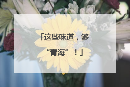 这些味道，够“青海”！