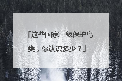 这些国家一级保护鸟类，你认识多少？